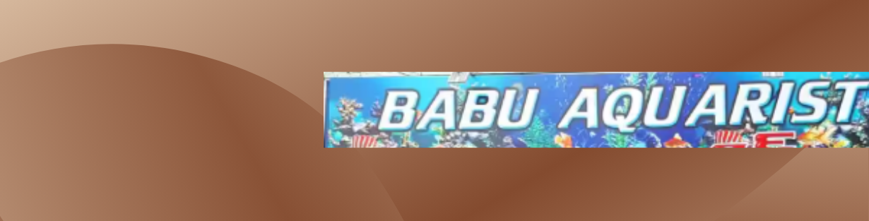 Store Banner