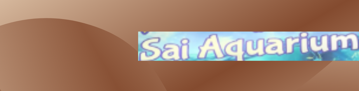 Store Banner