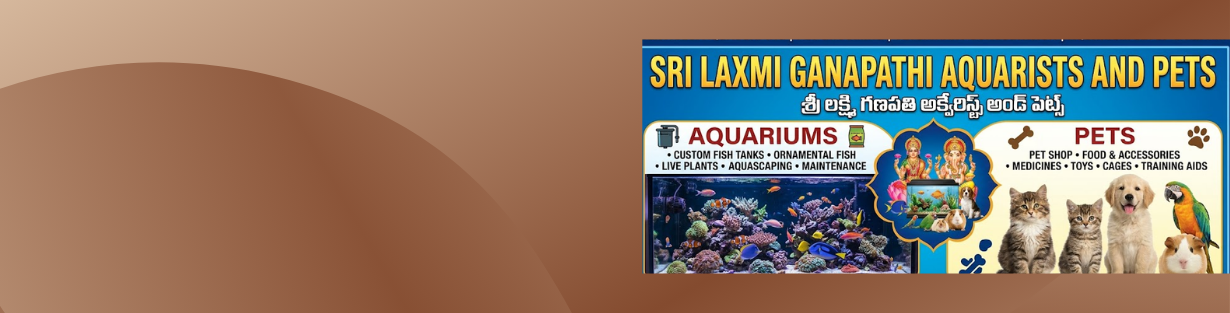 Store Banner