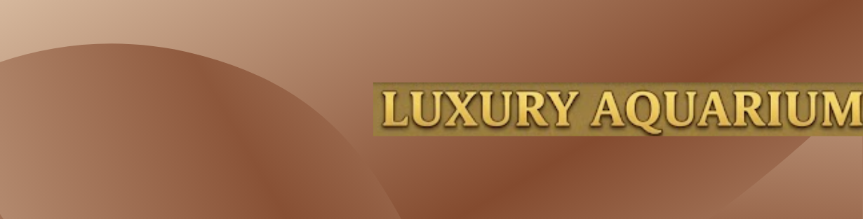 Store Banner
