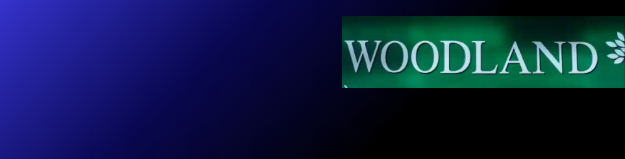 Store Banner