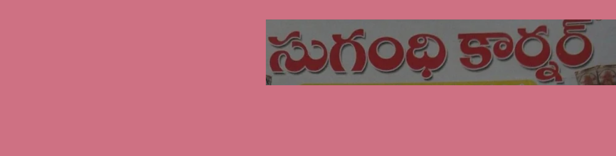 Store Banner