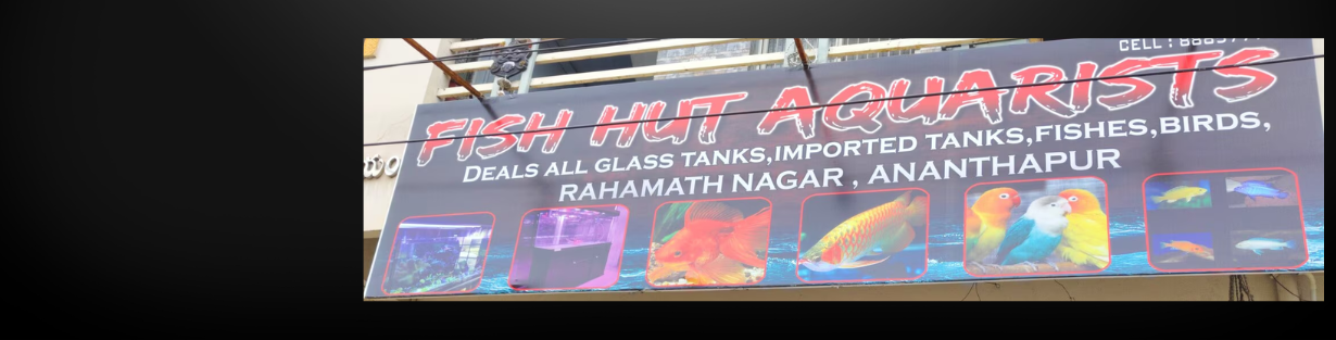 Store Banner