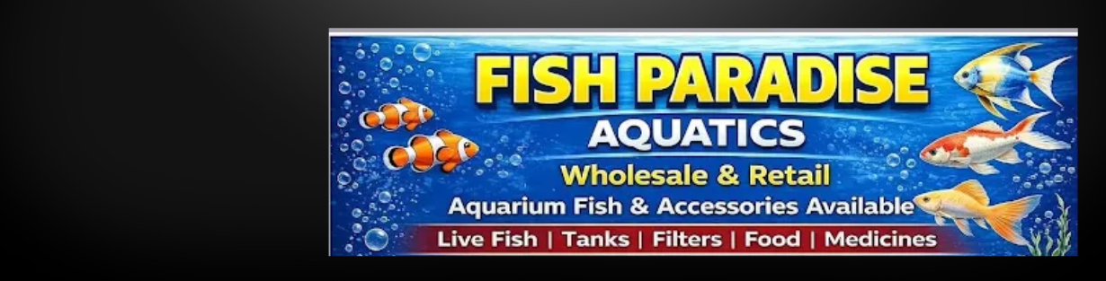 Store Banner