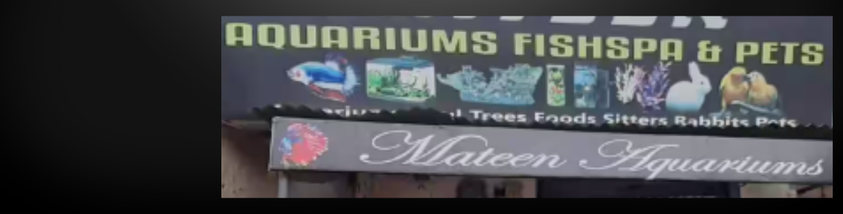 Store Banner
