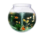 Untitled-design-2026-09-23T113229.073
