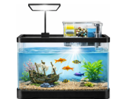 Untitled-design-2026-09-23T114850.693