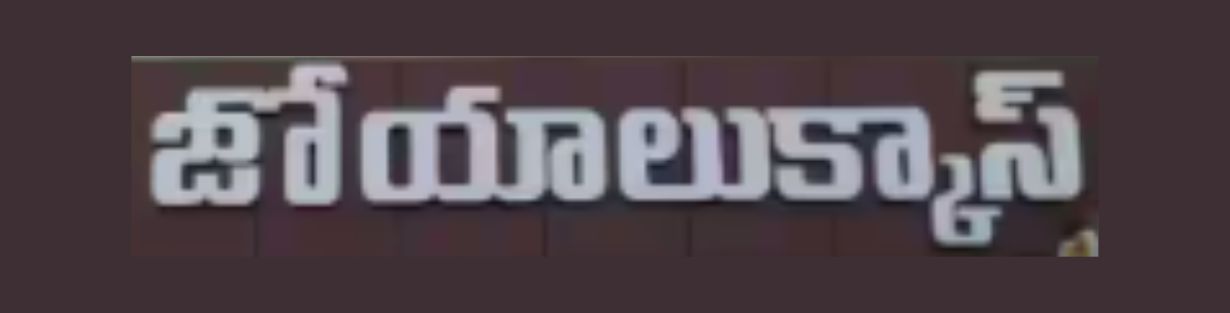 Store Banner