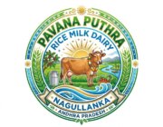 Store Logo
