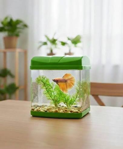 Petscope SQUARE AQUARIUM
