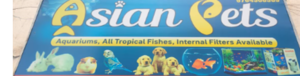Store Banner