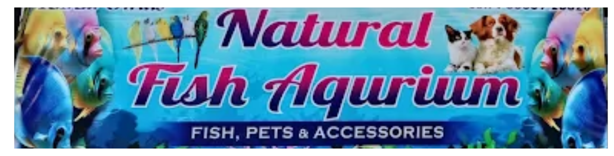 Store Banner