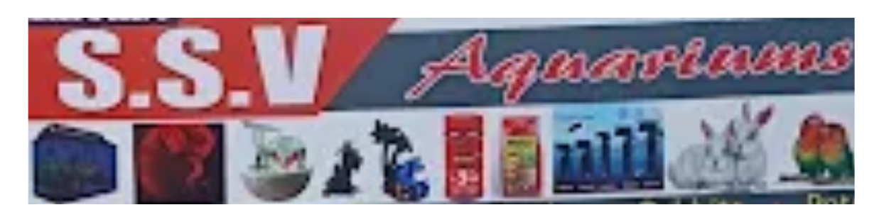 Store Banner
