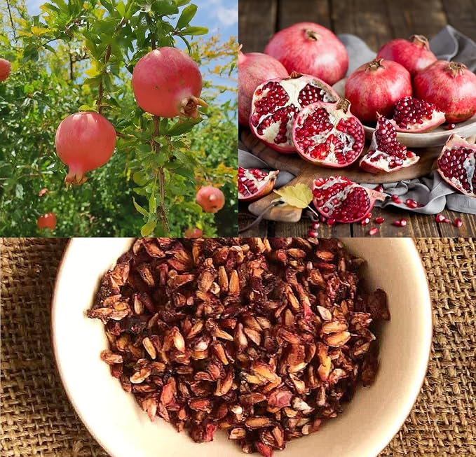 Fresh Pomegranate (Anar) Seeds for Gardening – Pack of 65