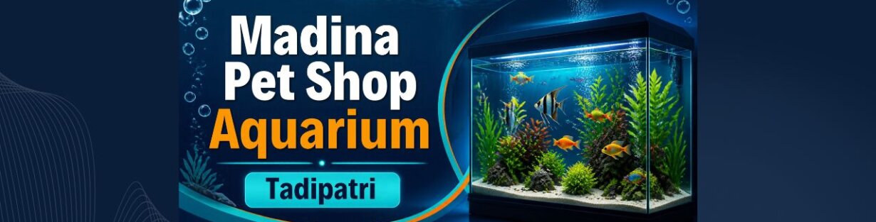Store Banner