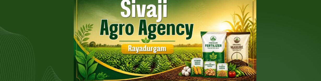 Store Banner