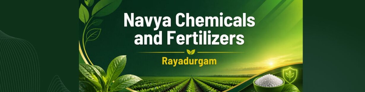 Store Banner