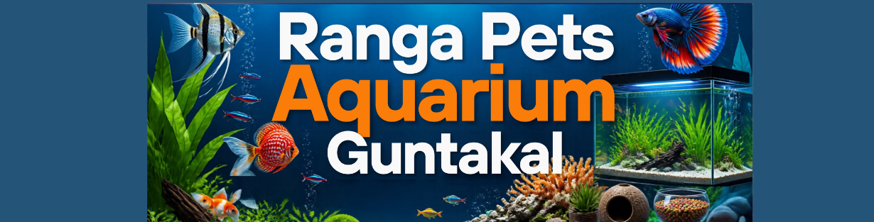 Store Banner