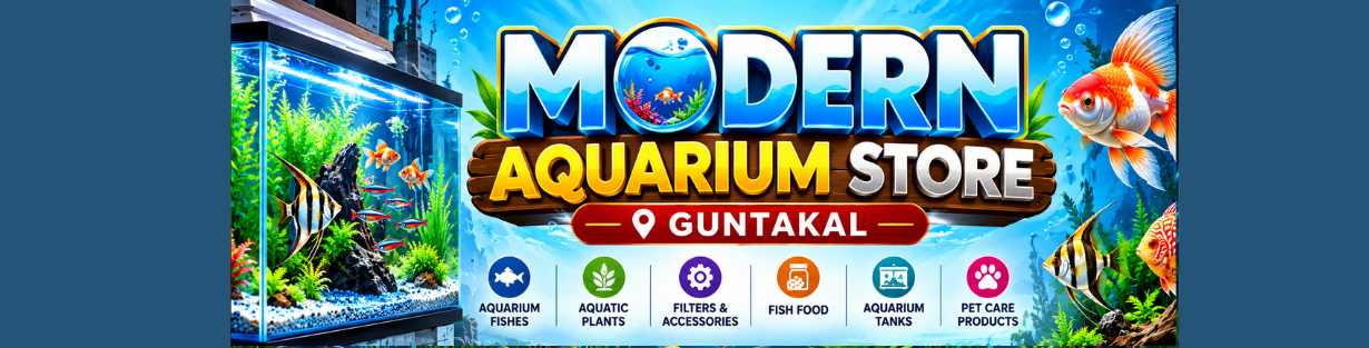 Store Banner