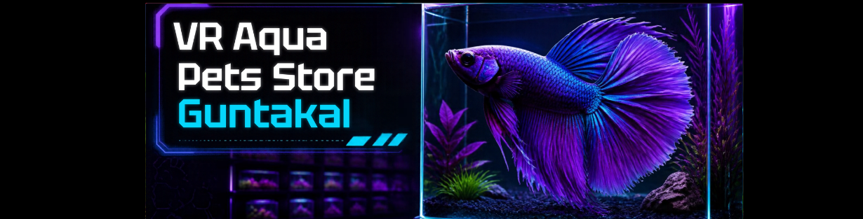 Store Banner
