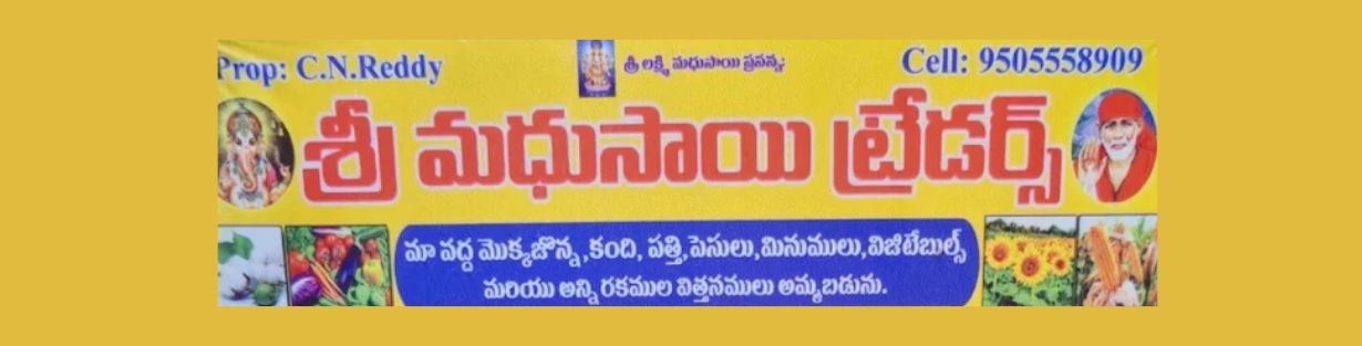Store Banner