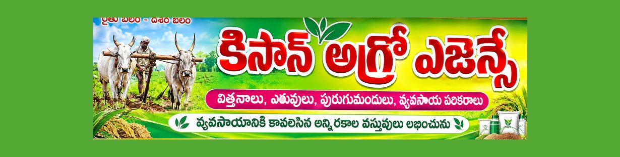 Store Banner