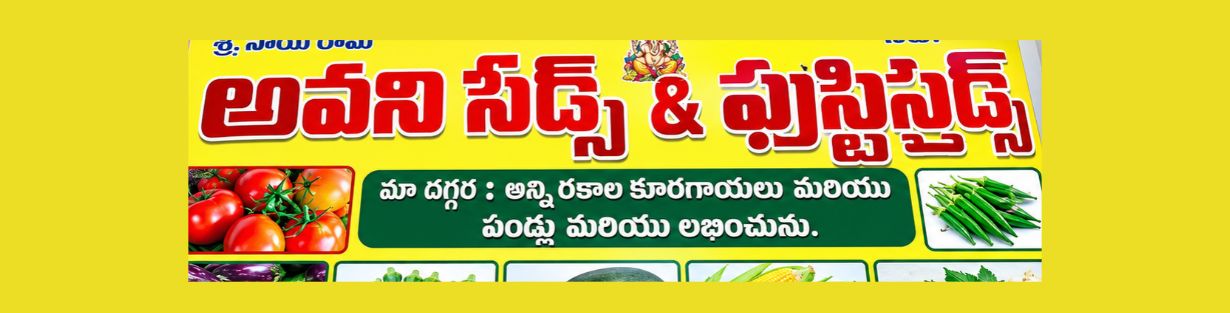 Store Banner