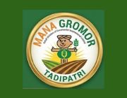 Store Logo