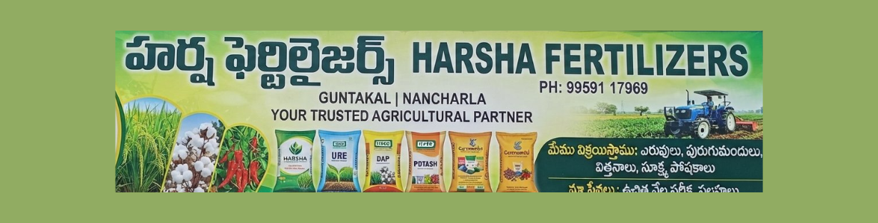 Store Banner