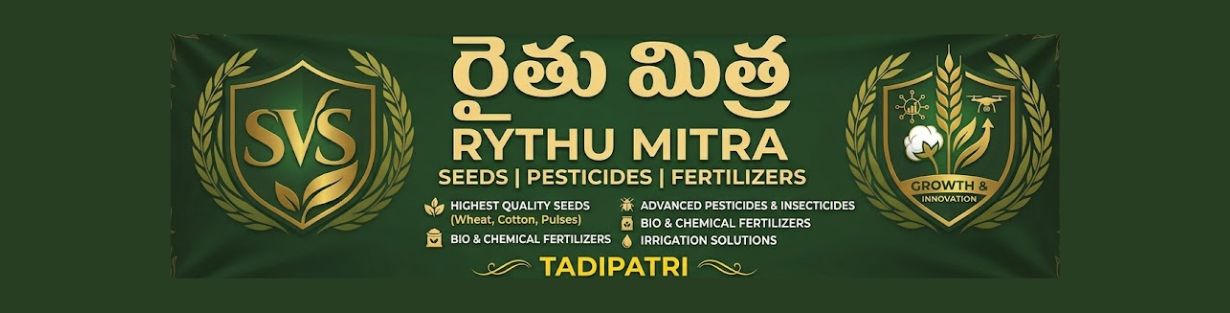 Store Banner