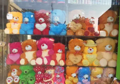 teddy